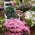 Diana Marie's profile image