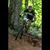 Mark Ingwersen's profile image