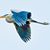 Steve Rosenzweig's profile image