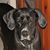 Elaine Hayes Hegh's profile image