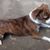 Tippy Travels's profile image