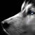 Keith Armstrong's profile image