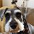 Debbie Reinhardt Walton's profile image