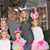 Terri Dancy Cornell's profile image