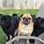 Amy Boyer's profile image