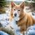 Laura Maier's profile image