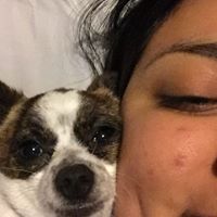 Sam Hernandez's profile image