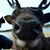Andrew Ryerson-Gonzalez's profile image