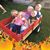 Leanne Newswanger Roland's profile image