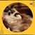 Terri Ann Alexander's profile image
