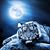 Debra Smith's profile image