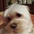 Cindy Larkin's profile image