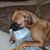 Gail Johnson's profile image