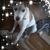 Amy Heffner's profile image