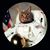 Lajuana Tyson Hilton's profile image