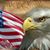 David Morse's profile image