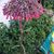 Kay Rhoden's profile image