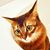 Mai Ogawa's profile image