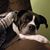 Kim Dietz's profile image