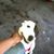 Javieer Sandobal's profile image