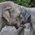 Erika Krull's profile image