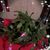 Carol Barfield's profile image
