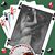 Sheena Eversole's profile image