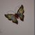Jayme Jewell Growden's profile image
