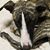 William Kossmann's profile image