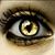 Jay Wilson's profile image