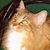 Vicki Basham's profile image