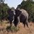 Shauna Hutchens Lopez's profile image