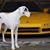 Josh Clymer's profile image