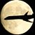 Colin Holgate's profile image