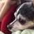 Linda Ireland Touhey's profile image