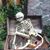 Stephen Thomas Ernst's profile image