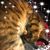 Maureen Sullivan's profile image