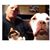 Butch Massie's profile image