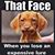 Bobby Thompson's profile image