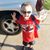 Rob Gehrig's profile image