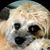 Sue Pappagallo's profile image