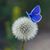 Sandra L. Cianelli's profile image