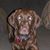 Jason Rosencrans's profile image