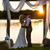 Carrie Long's profile image