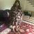 Zorina M. Kopitzke's profile image