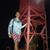 Sean Gaven's profile image