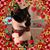 Michele Kerr's profile image
