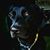 Mary Beth Sanchez's profile image
