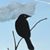 Alex Bigney's profile image