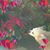Kristina Anderson's profile image